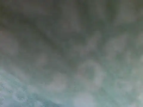 Short-V online show from April 17, 8:11 pm