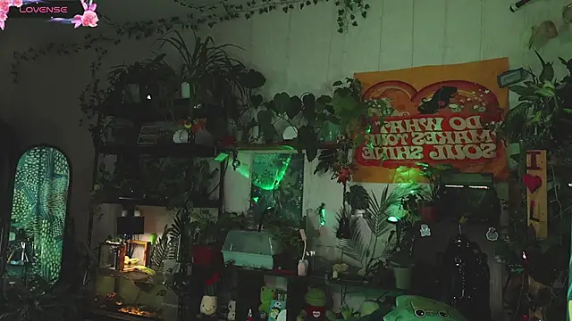 Dead Butterfly online show from November 2, 4:27 am