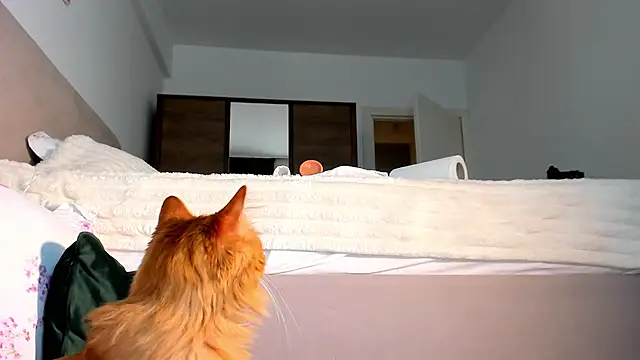 BrianaDiamondXXX online show from October 28, 10:54 am