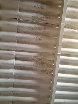 mila38 online show from July 3, 5:41 pm