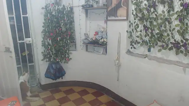 FunnyGrandma online show from November 21, 1:18 am