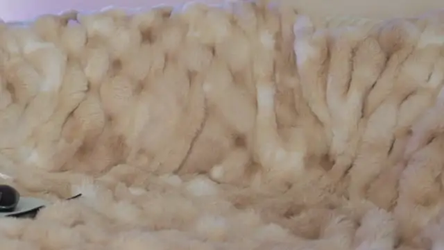 Anais Bloom online show from March 9, 2:15 am