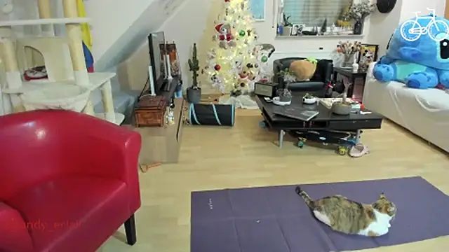 tinny williams online show from December 3, 4:26 am