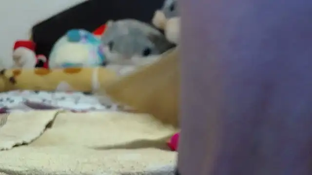 Bonny Ella online show from March 3, 7:25 am