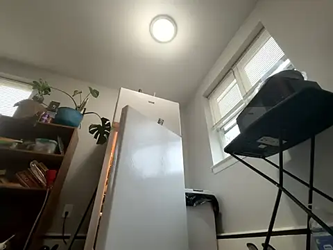 Snowbunnycake 131 online show from November 22, 2:09 pm