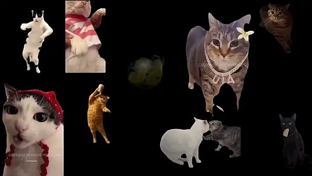 aberaaruba online show from October 29, 9:35 am