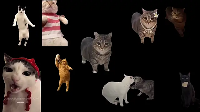 aberaaruba online show from November 10, 10:10 am