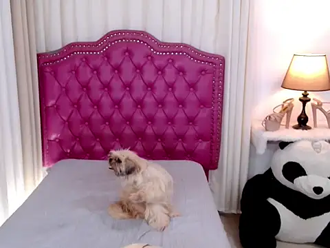 DreamLADYBOY online show from December 5, 3:50 am