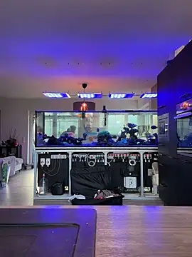 newMichelle online show from March 16, 7:12 am