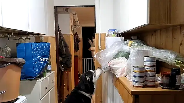 VanessaDoyle online show from February 20, 6:20 pm