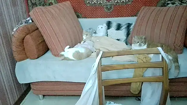 Kathlyn  Heath online show from December 20, 8:35 pm