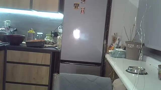 delightful sofi online show from November 14, 7:58 pm