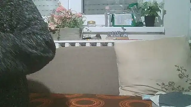 Tina-secret online show from November 15, 11:39 pm