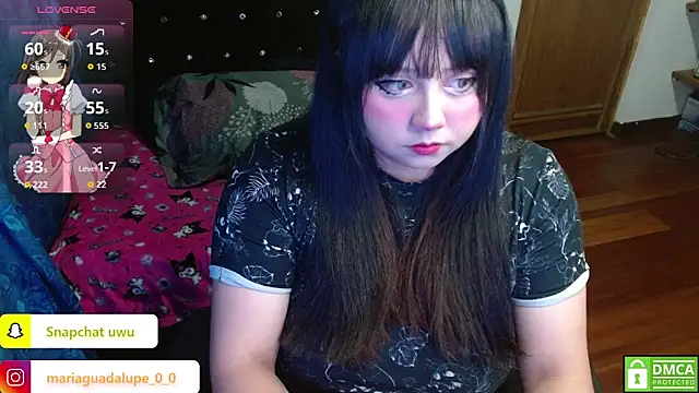 litlle cat online show from November 3, 5:33 am