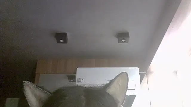 Skinny-Kitten online show from June 3, 2:01 am