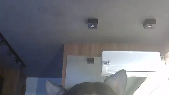 Skinny-Kitten online show from November 19, 6:08 pm