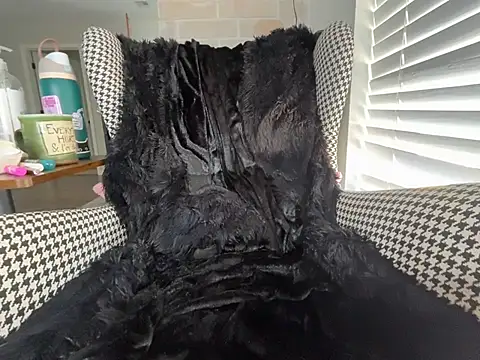 MissCumberdale online show from March 12, 5:59 pm