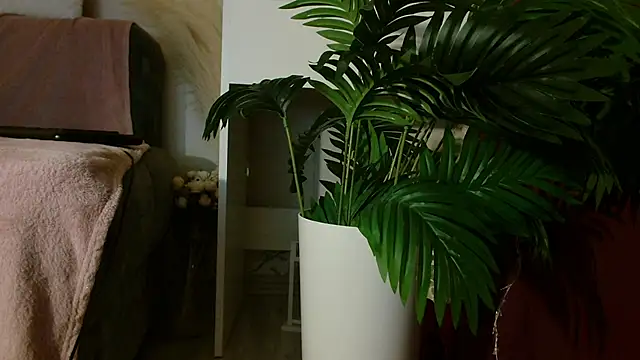 Imcarrieberry online show from December 3, 5:26 pm